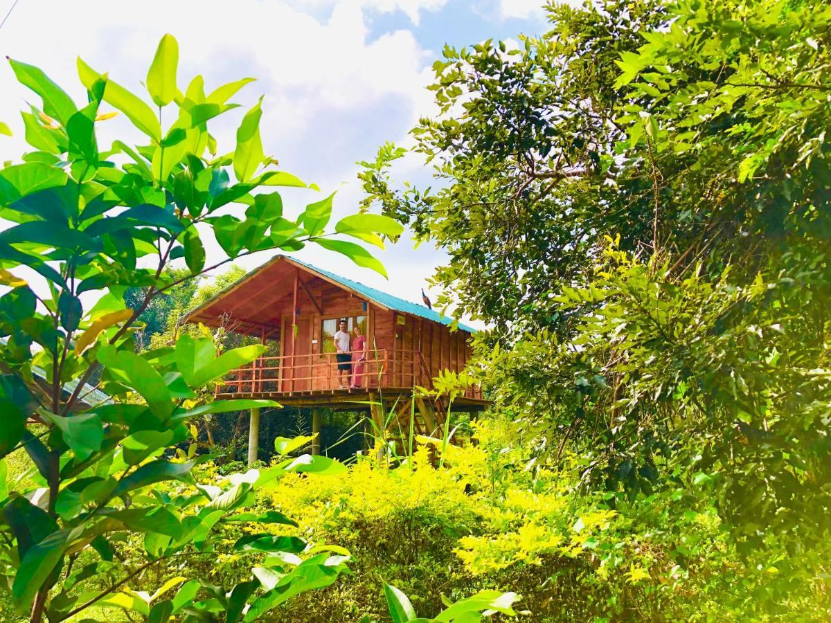 Sungreen Cottage Sigiriya Luaran gambar