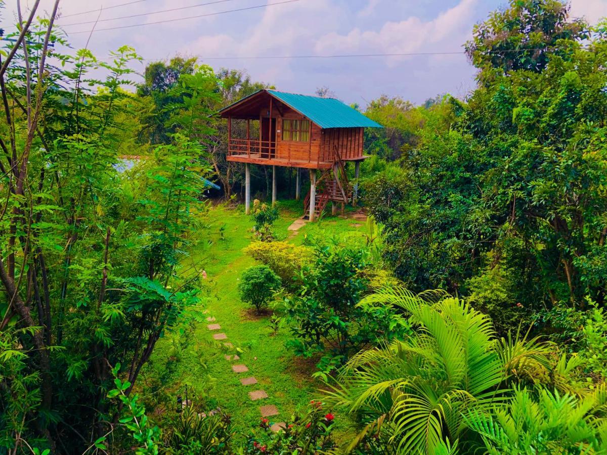 Sungreen Cottage Sigiriya Luaran gambar