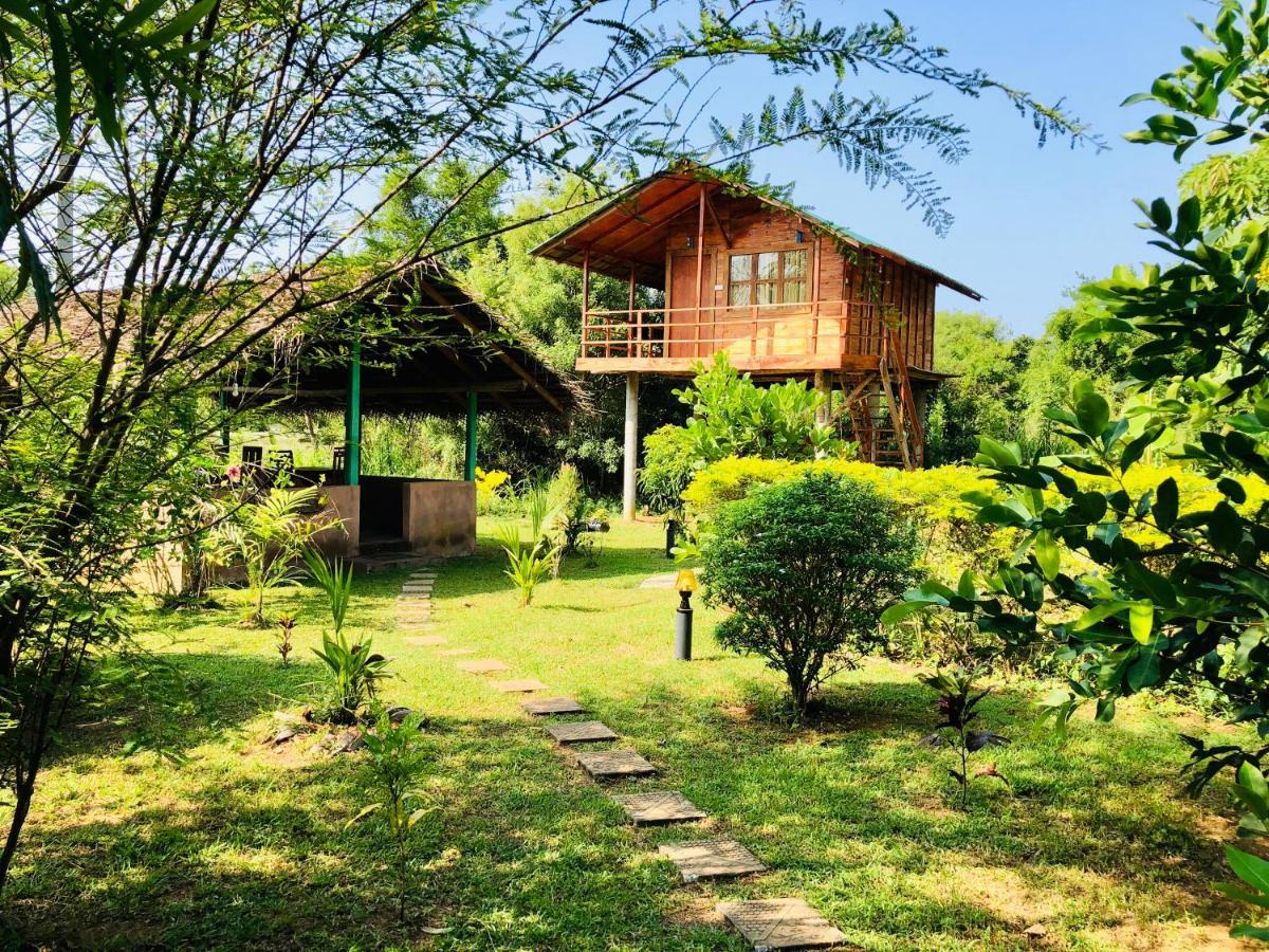 Sungreen Cottage Sigiriya Luaran gambar